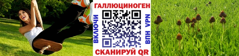 Псилоцибиновые грибы MAGIC MUSHROOMS  Купить  Сергач 